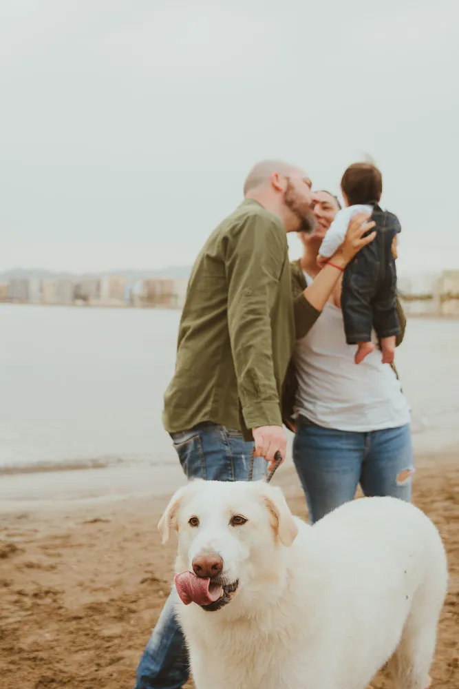 Sesión de fotos de Isa con su familia y su perro Rem — fotógrafo de mascotas en Murcia (Luarna Studio)